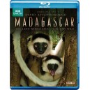 BBC Madagascar 2011