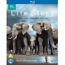 BBC Life Story 1080p - مستند داستان زندگی با کیفیت عالی
