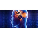 Cognitive Neuroscience - سفارش ویدئوهای دوره جذاب علوم اعصاب شناختی