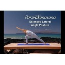 Ashtanga Yoga Beginners Practice - آموزش ویدئویی یوگا